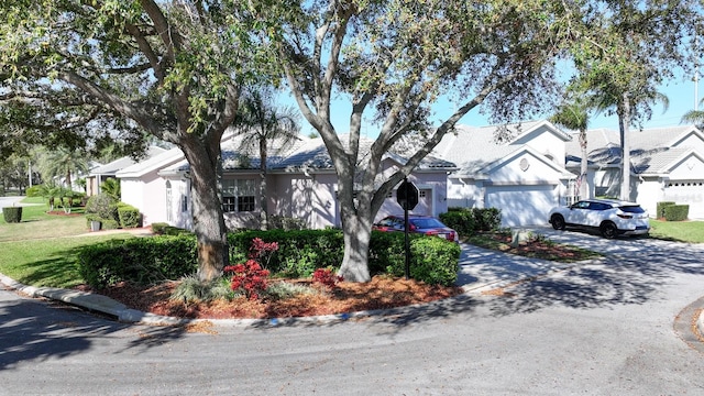 ranch-style house featuring driveway, a residential view, and stucco siding