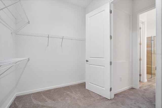 walk in closet with light carpet