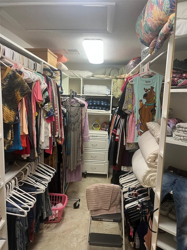 view of spacious closet