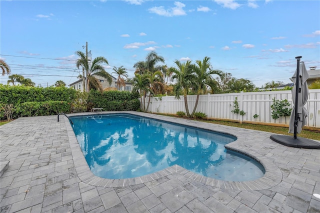 view of swimming pool featuring a patio