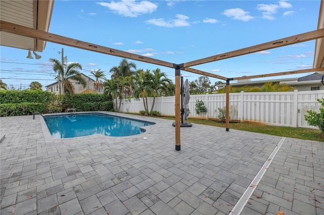 view of pool with a patio area