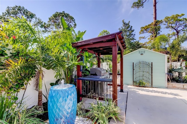 view of patio / terrace featuring a shed