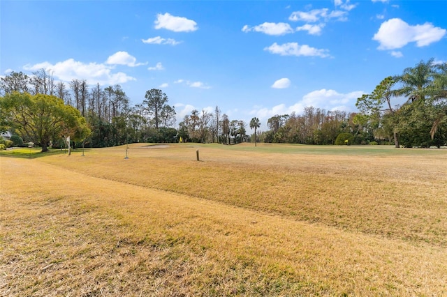 surrounding community featuring a yard