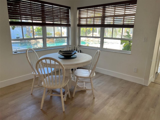 dining room with light hardwood / wood-style floors