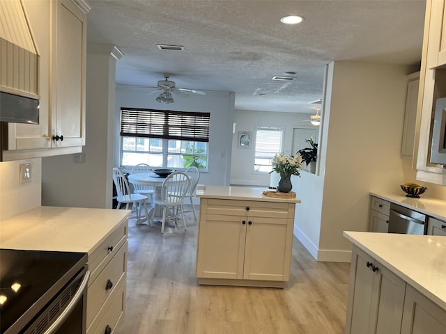 kitchen featuring ceiling fan, dishwasher, and light wood-type flooring