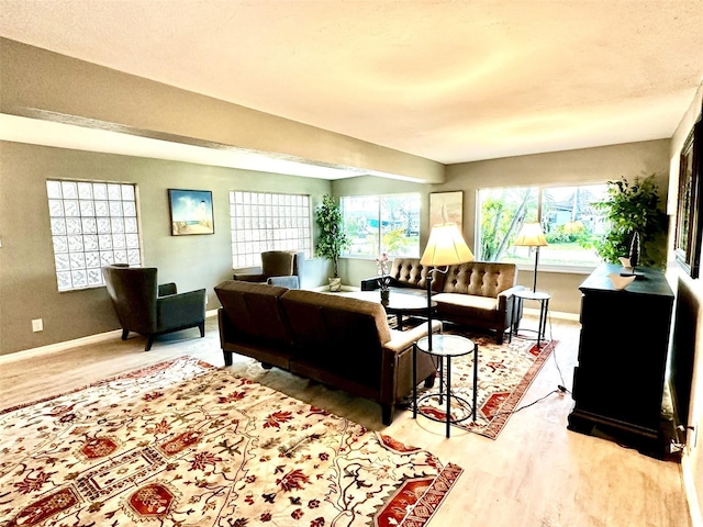 living room featuring wood-type flooring