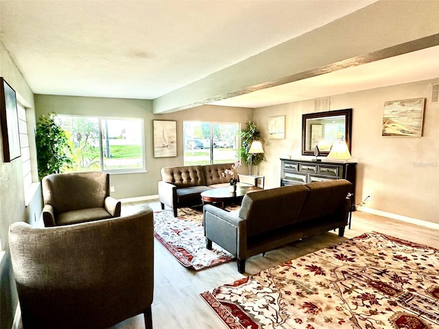 living room with a healthy amount of sunlight and light wood-type flooring