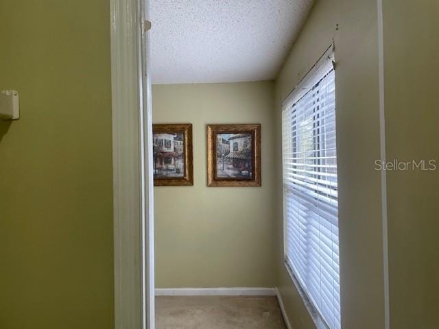 hall featuring light carpet and a textured ceiling