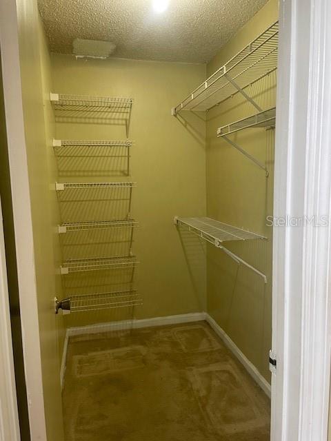 spacious closet featuring carpet