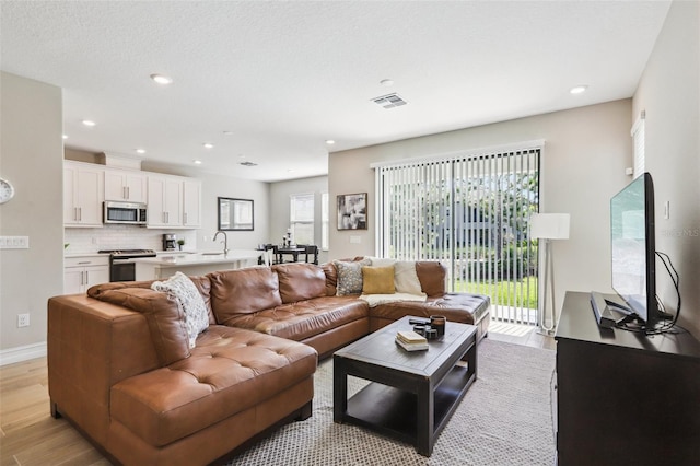 living room featuring sink and light hardwood / wood-style flooring