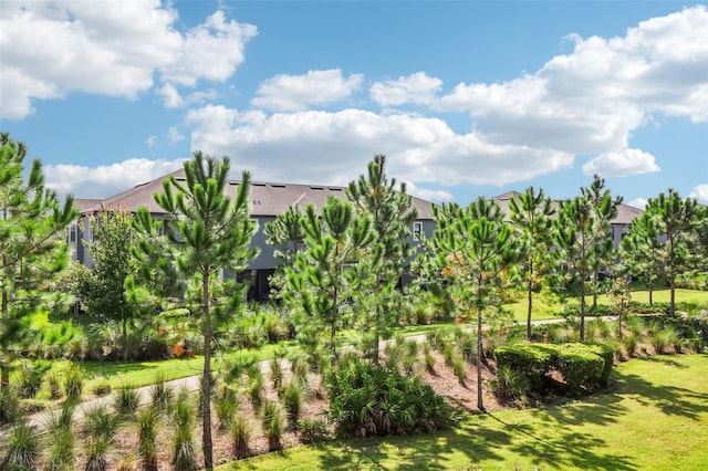 view of property's community featuring a lawn