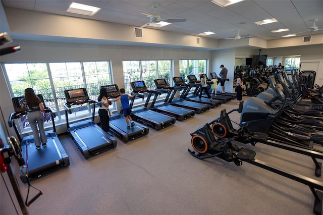 workout area with a drop ceiling, ceiling fan, and carpet