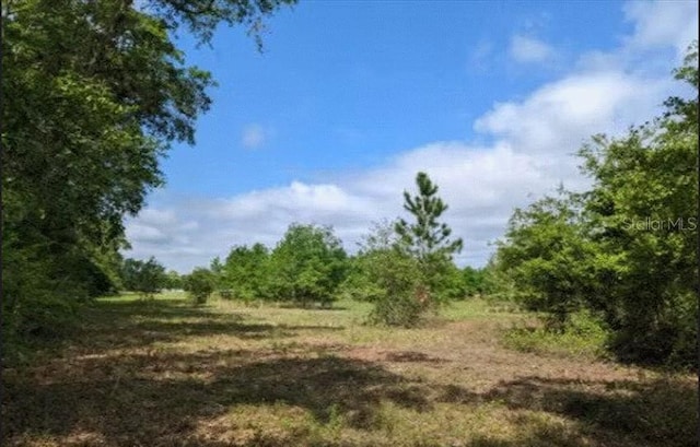 Listing photo 2 for TBD 176th St, Mc Alpin FL 32062