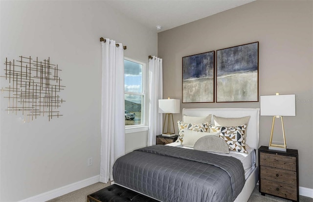 5243 SW 88th Cir, Ocala, FL 34481 - view of carpeted bedroom