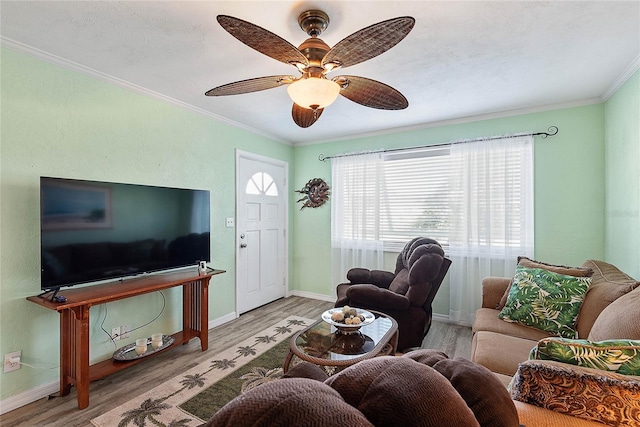 living room with crown molding, ceiling fan, and light hardwood / wood-style floors