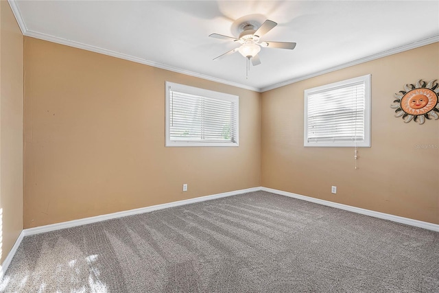 unfurnished room featuring ceiling fan, ornamental molding, and carpet floors