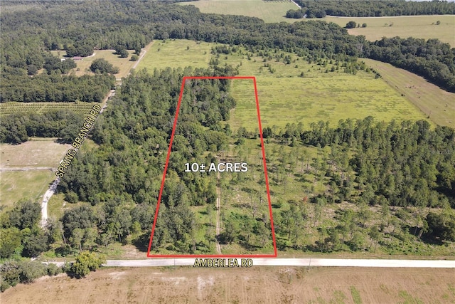 Amberlea Rd, Dade City FL, 33523 land for sale