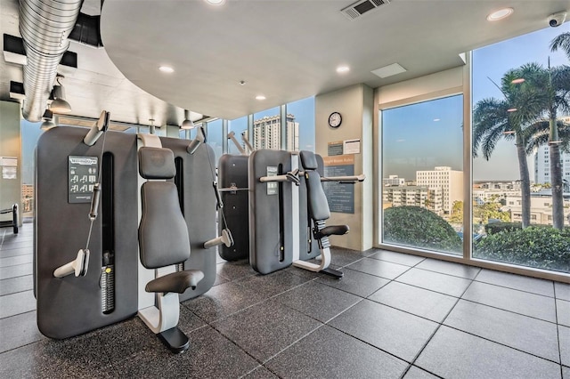 exercise room featuring a wall of windows