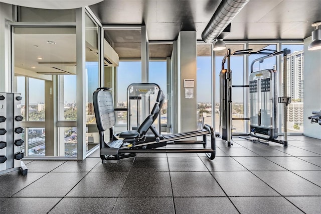 workout area featuring a wealth of natural light and floor to ceiling windows