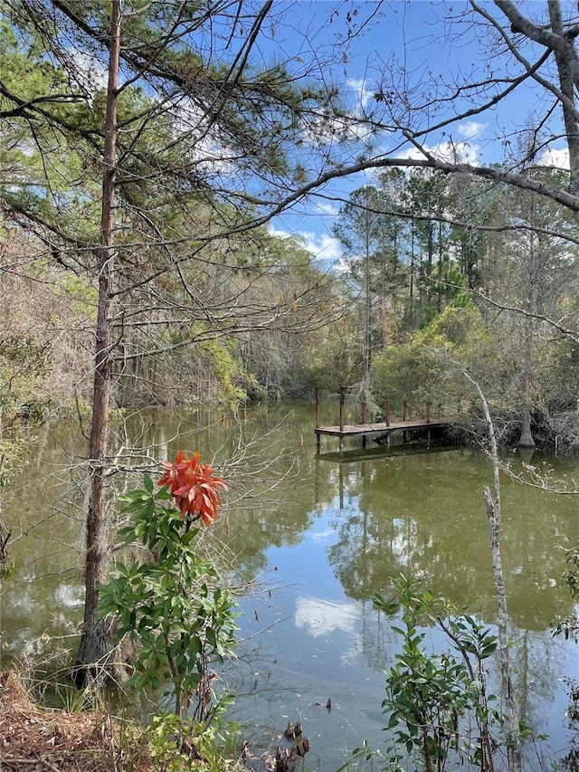 property view of water