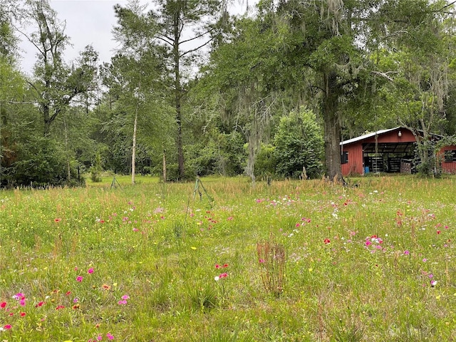 view of yard with an outdoor structure