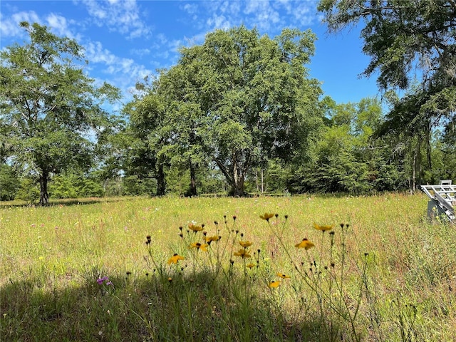 view of nature