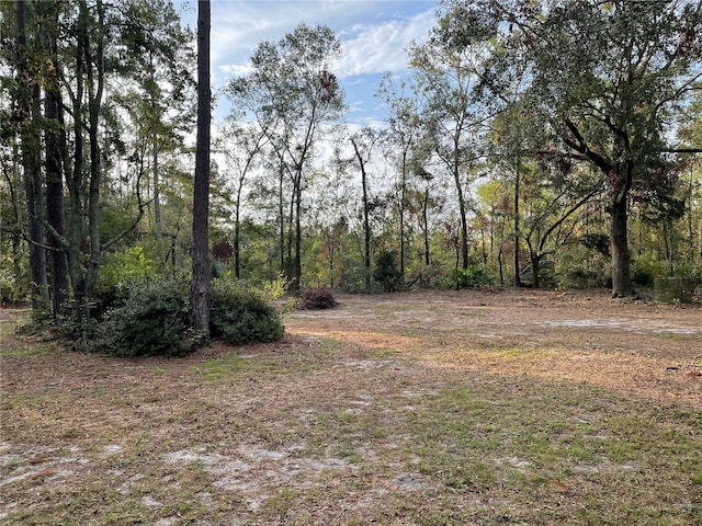 view of local wilderness