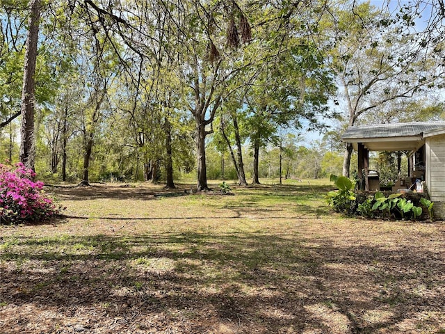 view of yard