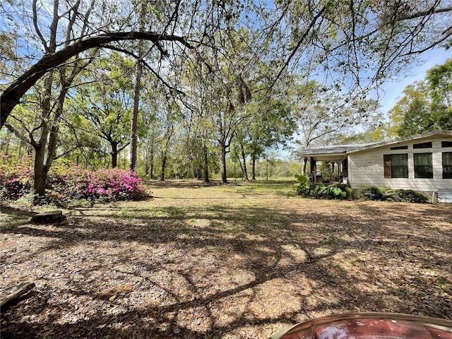 view of yard