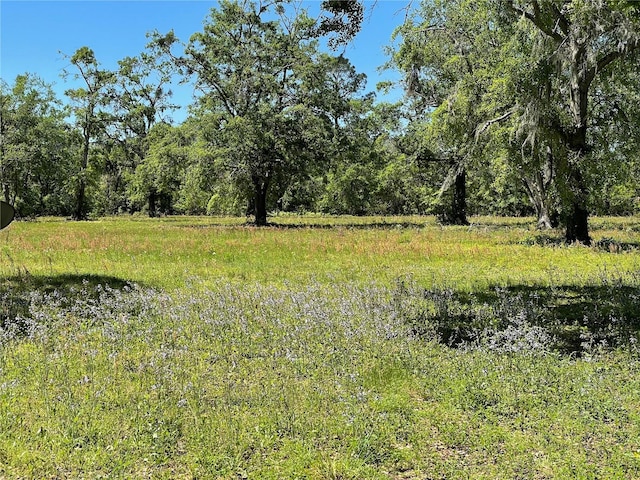 view of landscape