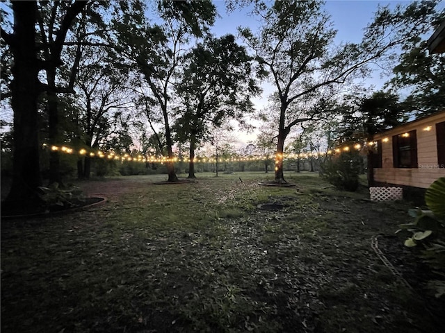 view of yard at dusk