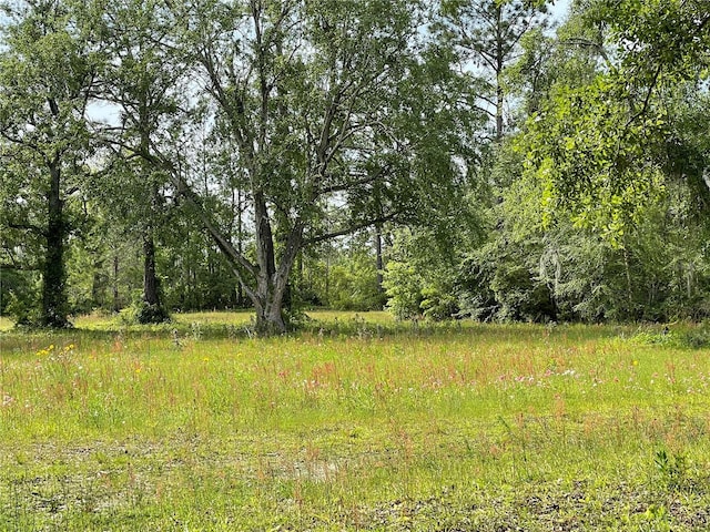 view of landscape