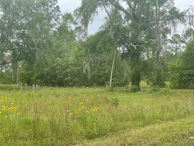 view of landscape