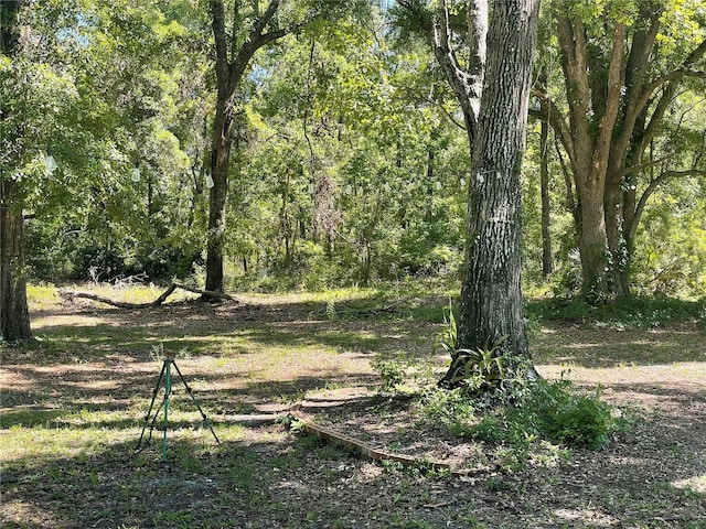 view of landscape