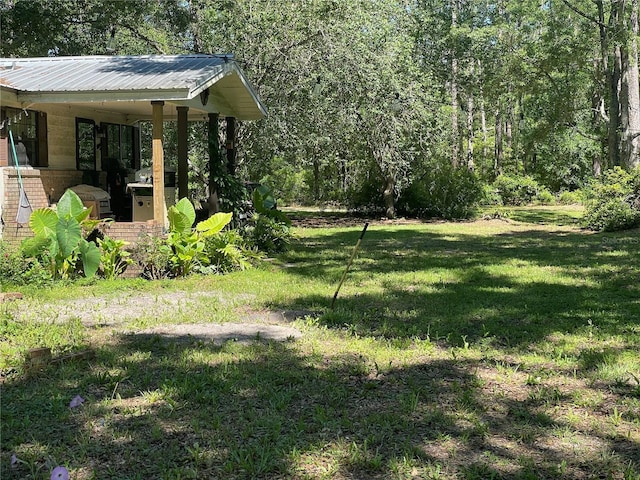 view of yard