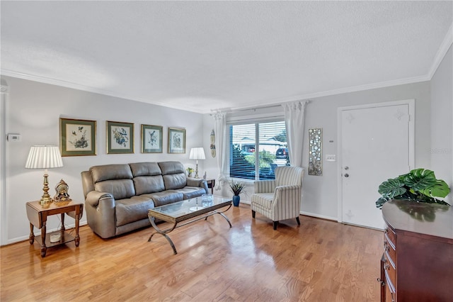 living room featuring crown molding, light hardwood / wood-style flooring, and a textured ceiling