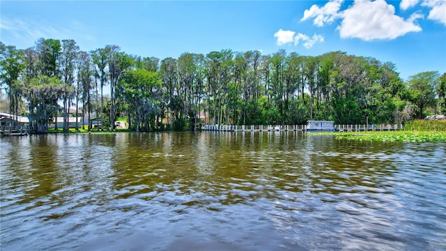 view of water feature