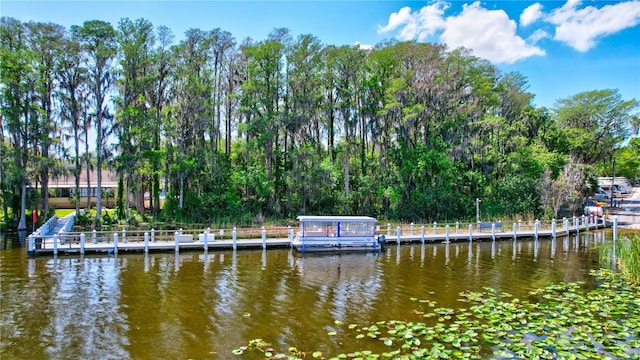 dock area with a water view