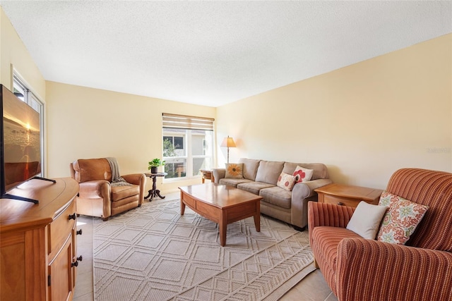 living room with a textured ceiling