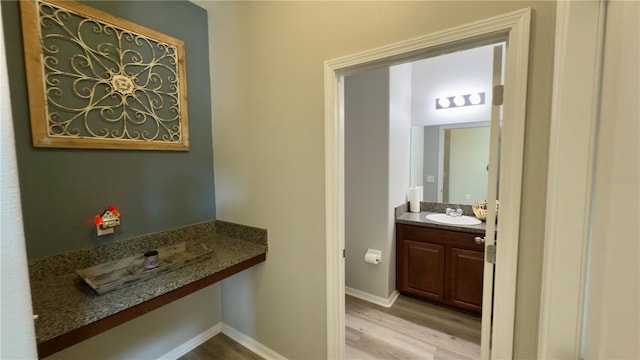 bathroom featuring vanity and wood-type flooring