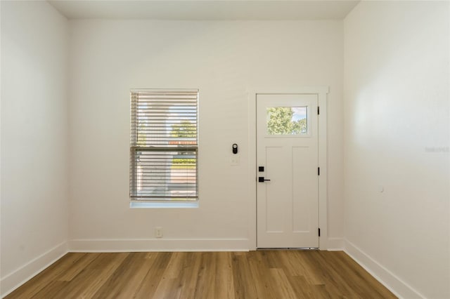 entrance foyer with hardwood / wood-style flooring and a healthy amount of sunlight