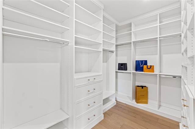 walk in closet with light wood-type flooring