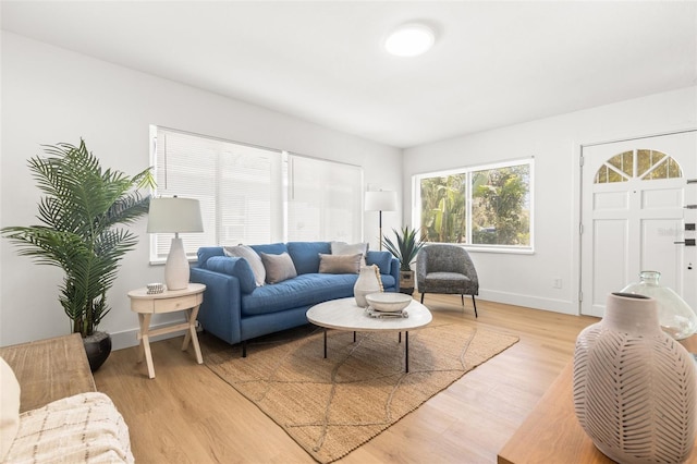 living room featuring light hardwood / wood-style floors