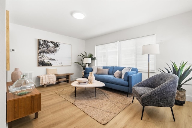 living room featuring hardwood / wood-style floors