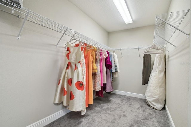 spacious closet featuring carpet flooring