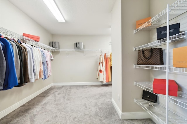 walk in closet featuring carpet