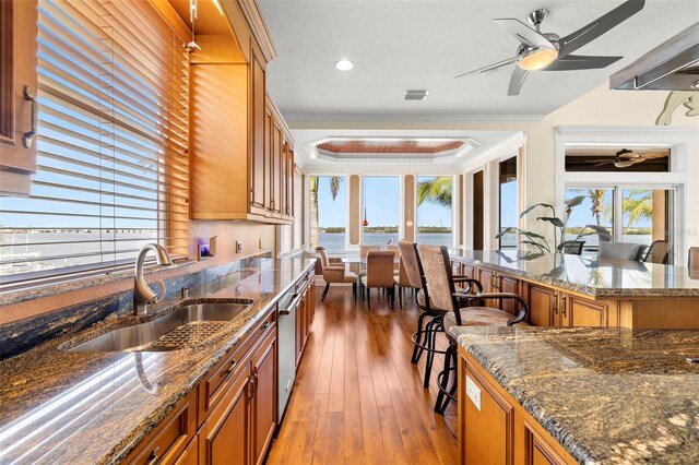 kitchen featuring sink, light hardwood / wood-style flooring, dishwasher, a water view, and a raised ceiling