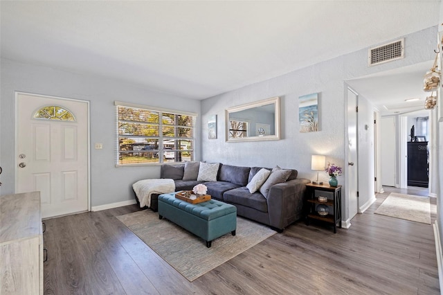 living room with wood-type flooring