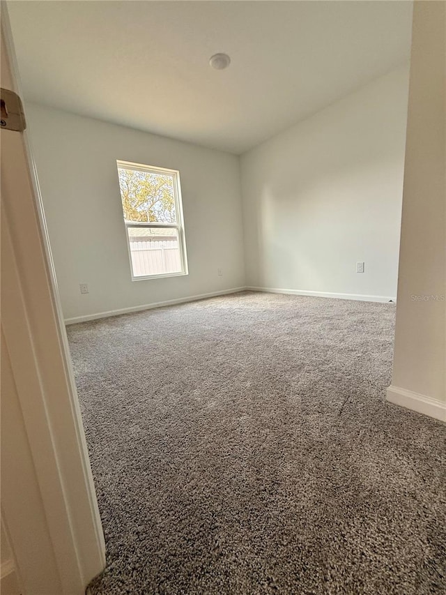 spare room with carpet