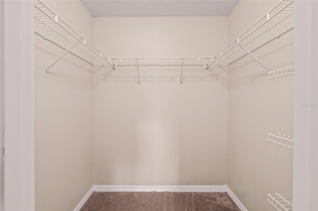 walk in closet with carpet floors